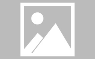 柳林新区景区网站建设（in art criticism,you must assume）